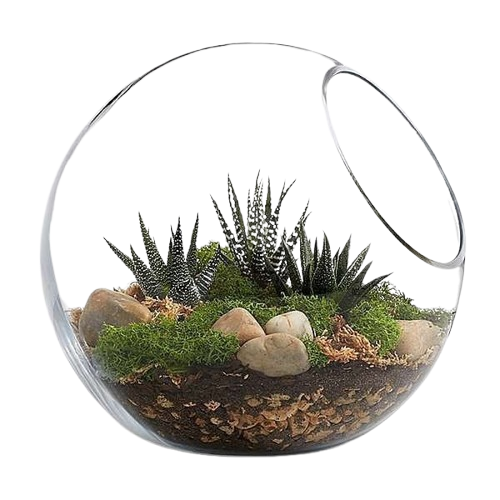 Terrarium